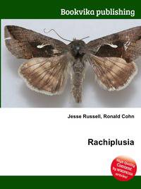 Rachiplusia