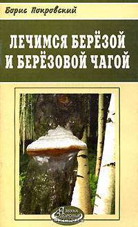 Лечимся березой и березовой чагой