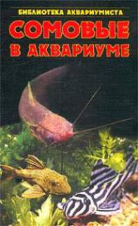 Сомовые в аквариуме - (Библиотека аквариумиста)