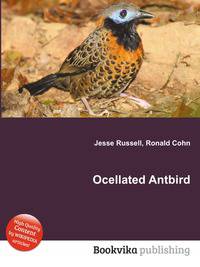 Ocellated Antbird