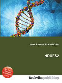 NDUFS2