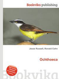 Ochthoeca