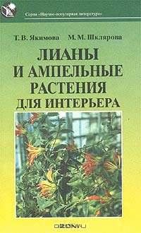 Лианы и ампельные растения для интерьера