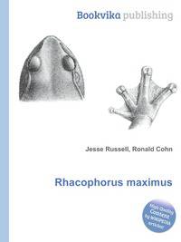 Rhacophorus maximus
