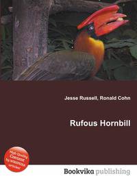 Rufous Hornbill