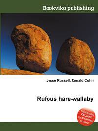 Rufous hare-wallaby