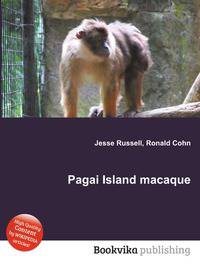 Pagai Island macaque