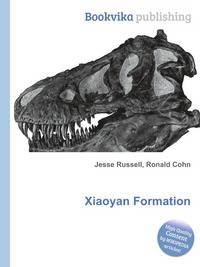 Xiaoyan Formation