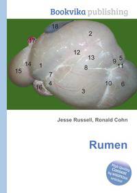 Rumen