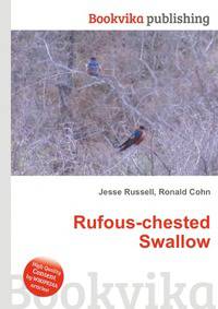 Rufous-chested Swallow