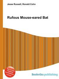 Rufous Mouse-eared Bat