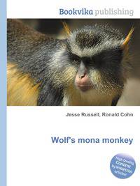Wolf's mona monkey