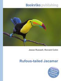 Rufous-tailed Jacamar
