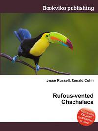 Rufous-vented Chachalaca
