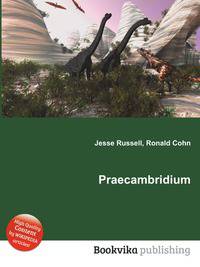 Praecambridium