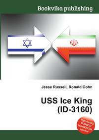 USS Ice King (ID-3160)