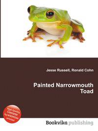 Painted Narrowmouth Toad