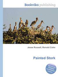 Painted Stork