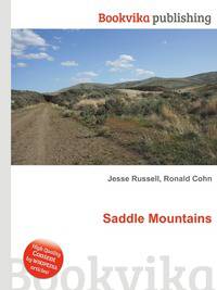 Saddle Mountains