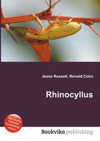 Rhinocyllus