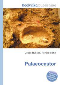 Palaeocastor