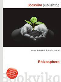 Rhizosphere