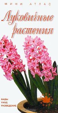Луковичные растения. Виды, уход, разведение. Мини-атлас