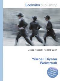 Yisroel Eliyahu Weintraub