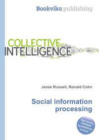 Social information processing