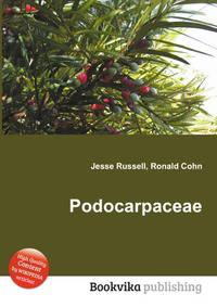 Podocarpaceae