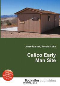 Calico Early Man Site
