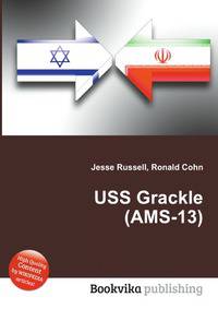 USS Grackle (AMS-13)