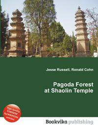 Pagoda Forest at Shaolin Temple
