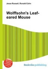 Wolffsohn's Leaf-eared Mouse