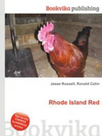 Rhode Island Red