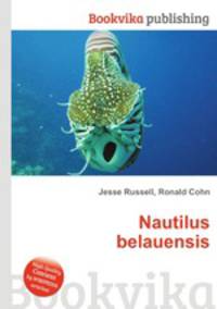Nautilus belauensis