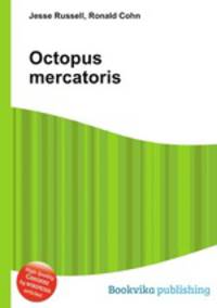 Octopus mercatoris