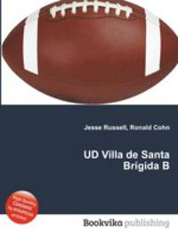 UD Villa de Santa Brigida B