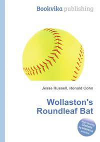 Wollaston's Roundleaf Bat