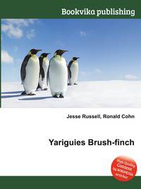 Yariguies Brush-finch