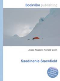 Saedinenie Snowfield