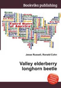 Valley elderberry longhorn beetle