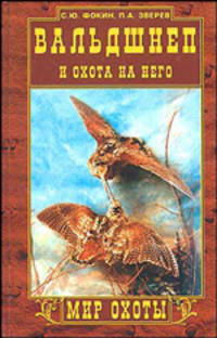 Вальдшнеп и охота на него