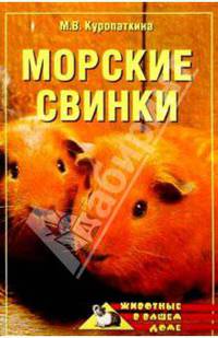Морские свинки