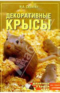 Декоративные крысы