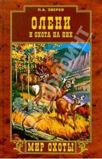 Олени и охота на них
