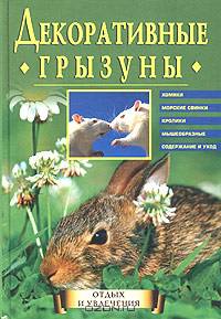 Декоративные грызуны