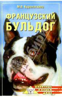 Французский бульдог
