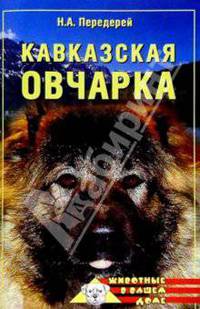 Кавказская овчарка