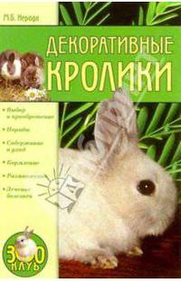 Декоративные кролики